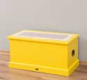 Coffer box 90x45x45cm