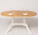 Oval table with 2 legs 160 / 230x120cm - Color Top_P082 - Color Corp_P039 - DOUBLE COLORED