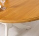 Oval table with 2 legs 160 / 230x120cm - Color Top_P082 - Color Corp_P039 - DOUBLE COLORED