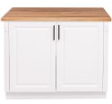 Modular kitchen Directoir, 2 doors - with top oak