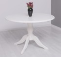 Table with central leg 120x120cm + 1 extension