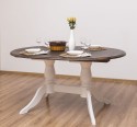 Oval table with 2 legs 160 / 230x120cm