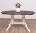 Oval table with 2 legs 160 / 230x120cm