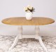 Oval table with 2 legs 160 / 230x120cm