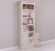 Bookcase with 2 doors