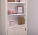 Bookcase with 2 doors