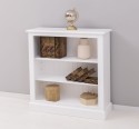 Small bookcase with shelves