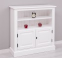 Medium bookcase with 2 doors, 1 shelf