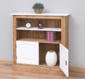 Medium bookcase with 2 doors, 1 shelf