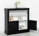 Medium bookcase with 2 doors, 1 shelf