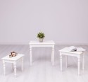 Set of 3 coffee tables