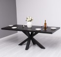 Dining table with central leg in X, lenght 210 - Color_P003 - PAINT