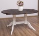Oval table with 2 legs 160 / 230x120cm